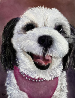 Gracie