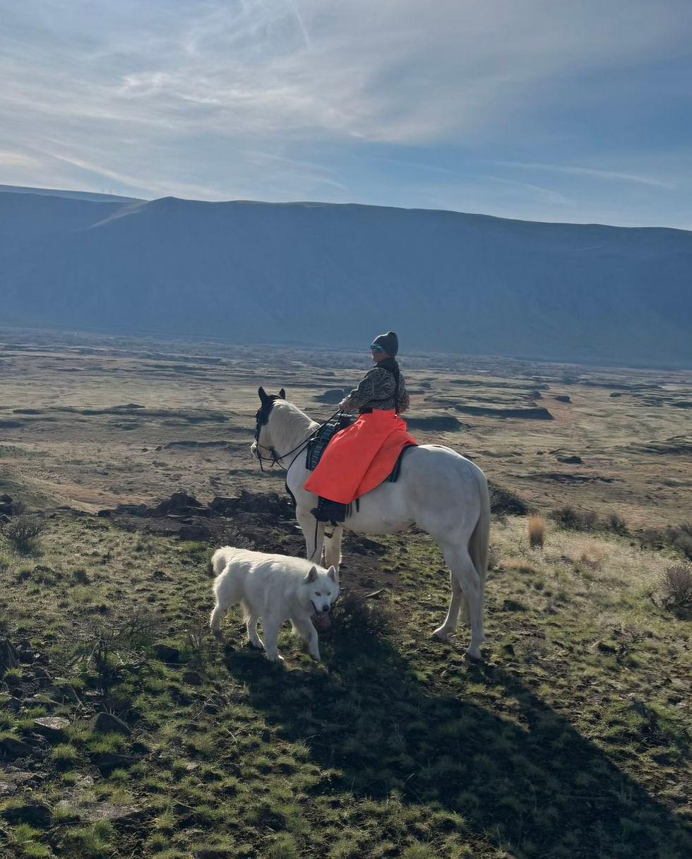 Orange_Mountain View