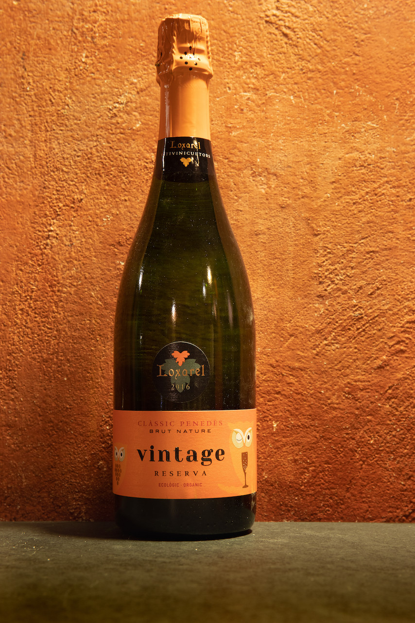Vino spumante Spagna Loxarel Brut Nature