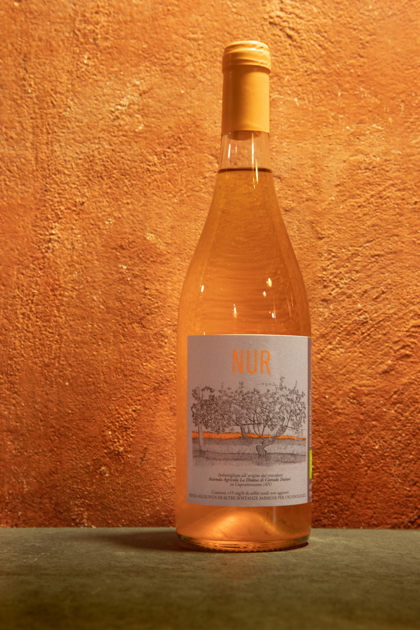 Vino bianco macerato Corrado Dottori La Distesa Nur 2019