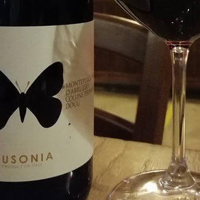 Appunti di degustazione - Ausonia Montepulciano d'Abruzzo Colline Teramane DOCG 2016