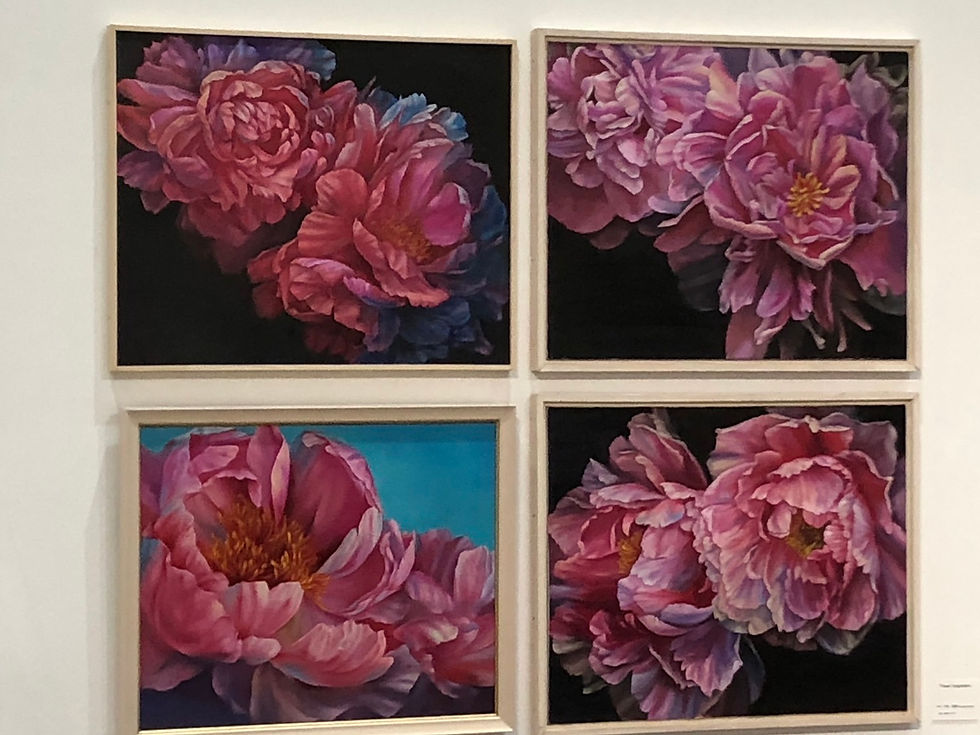 21世紀美術館へ行ってきました！