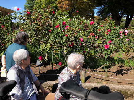 令和8年10月2日