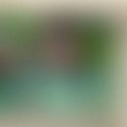 令和８年１月２９日