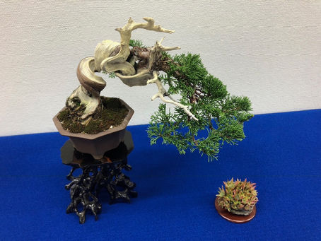 令和7年12月20日