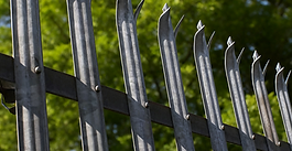 Everything You Need to Know About Palisade Fencing