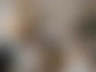 Experience Hassle-Free Relocation with Our Professional Move Out and Move In Services