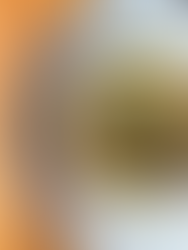 an up close image of big bowl on a wooden table at The Garage, a Black-owned restaurant in Savannah, GA. Inside the bowl lies crispy catfish, with rice grits underneath, and brown butter and seared mushrooms.