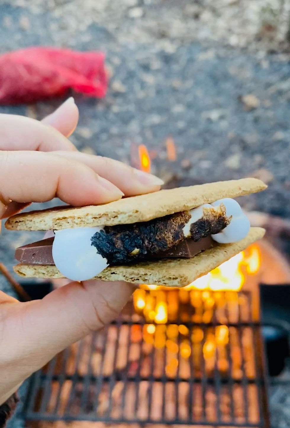 Single hand holding a S'more with a fire in the background