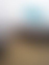 Women Stand Strong at Standing Rock