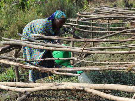Women for Forests Democratic Republic of Congo – Winter 2017 Update