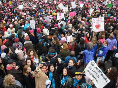 WECAN and Climate Women Rising at the Women’s March on Washington