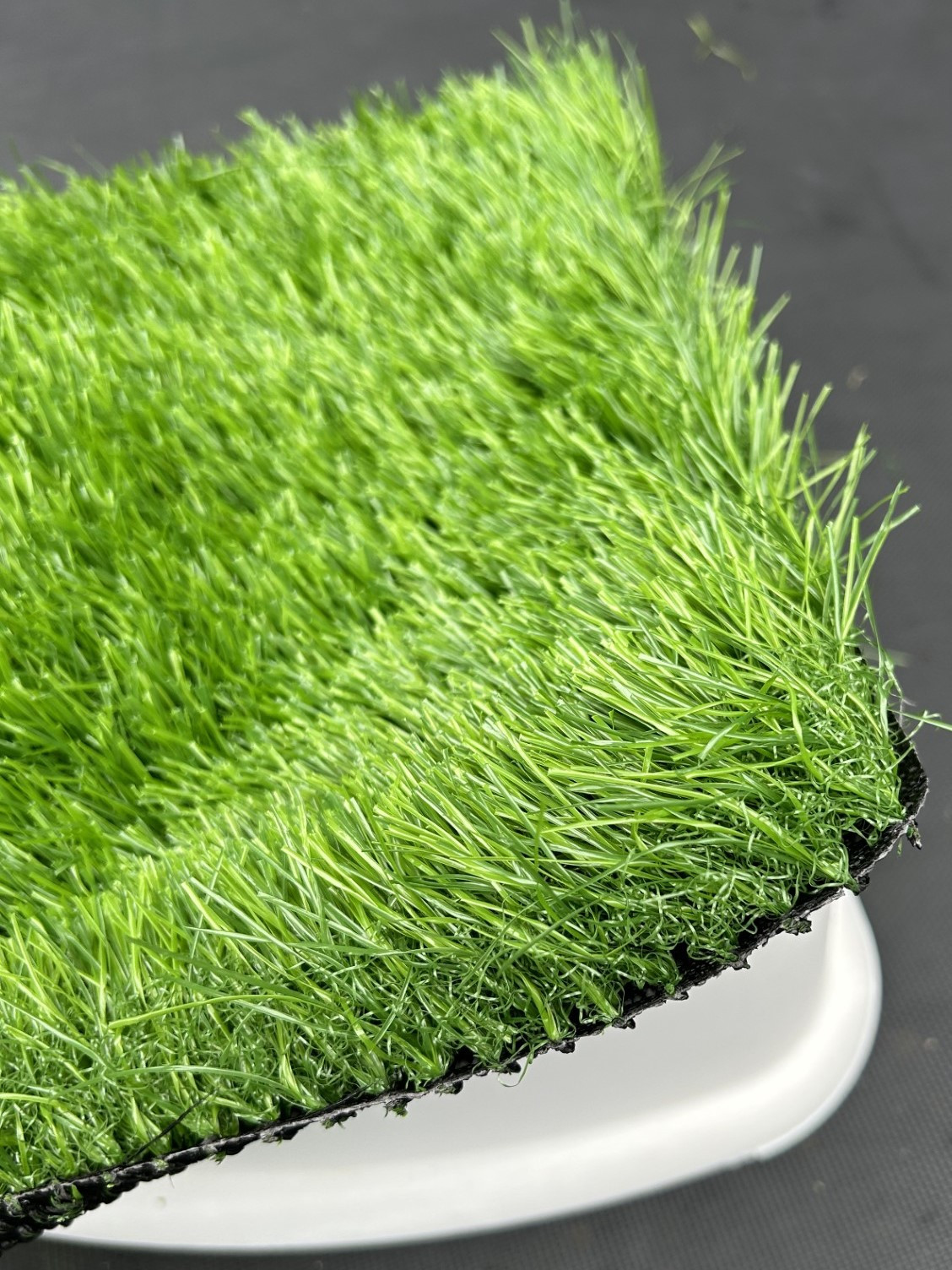 Tall Grass
