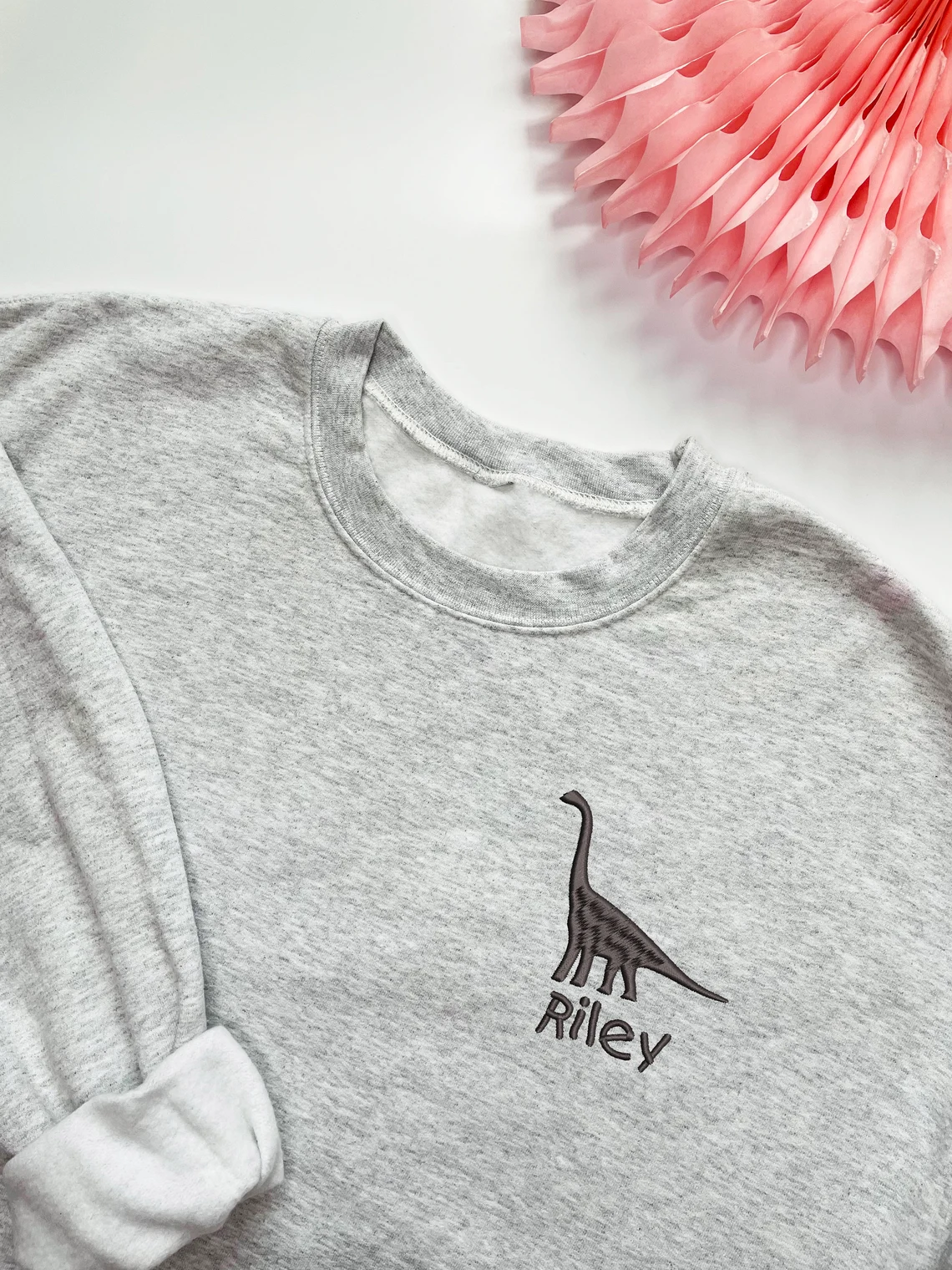 Dinosaur Embroidered Kids Sweatshirt