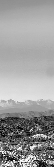 pexels-nextvoyage-490411_edited.jpg