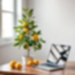 lemon tree on a table next to the laptop_edited.jpg