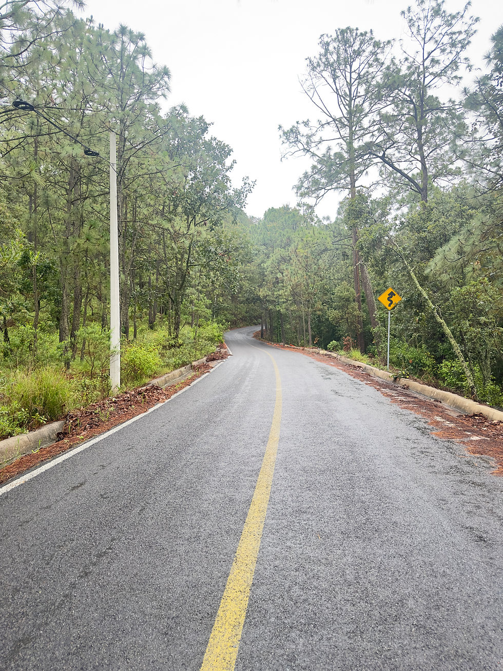 CARRETERA MONTE LOS FRAILES TERRENOS EN TAPALPA.jpg