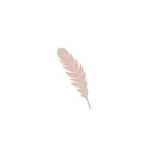 Plume_coaching_haute_sensibilité_thérapie