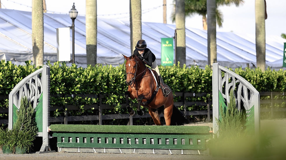 Post-WEF, the fun continues!