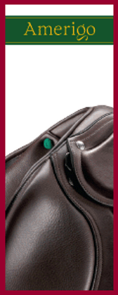 FEB 2025 Banner Ad - EN - 120x300.gif