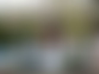 A Week of Firsts for MHF at Week 8 of WEF