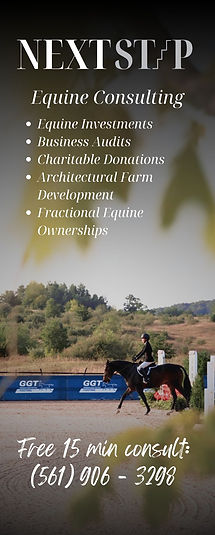 Next Step Equine Consulting