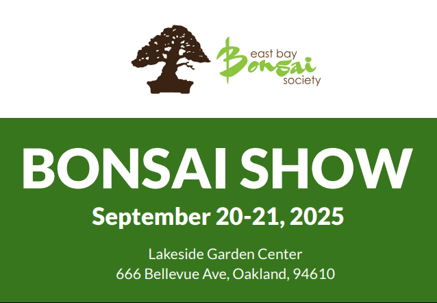 East Bay Bonsai Society Annual Show and Sale!