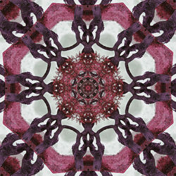 kaleidoscope 9617