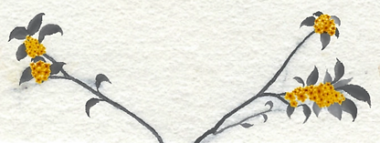 Untitled_Artwork 32_edited.png