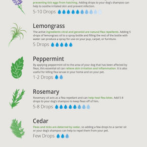 Natural Flea and Tick Prevention