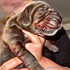 Pet Insurance: A Buyer’s Guide