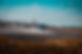 image00110.jpeg