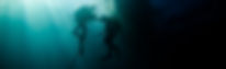 AdobeStock_212215461.jpeg