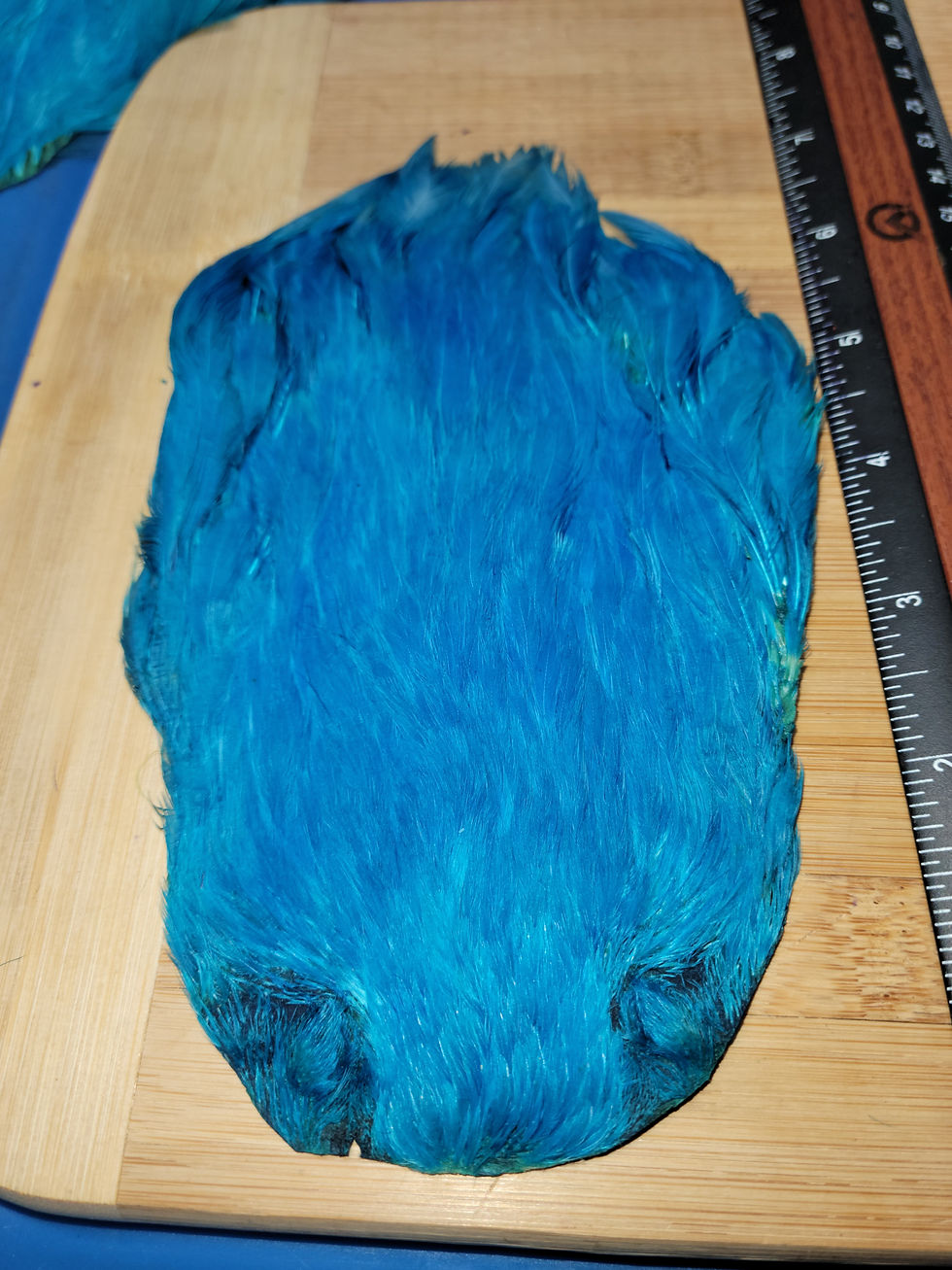 Miniature : Nos Cous de Poules de Teints Bleu Kingfisher