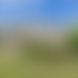 Exploring a Versatile 3-Bedroom Home Perfect for Modern Living