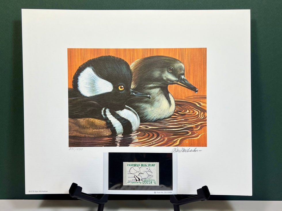 CA8 1978 Hooded Mergansers by Ken Michaelsen 291/500