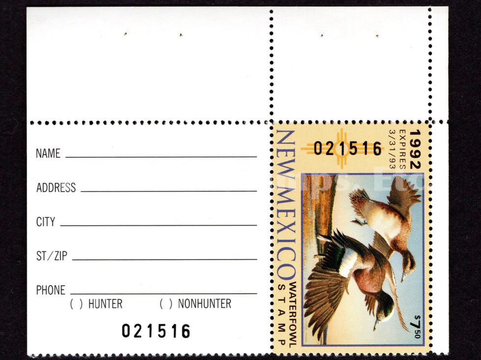 New Mexico NM2A 1992 American Widgeon, Hunters
