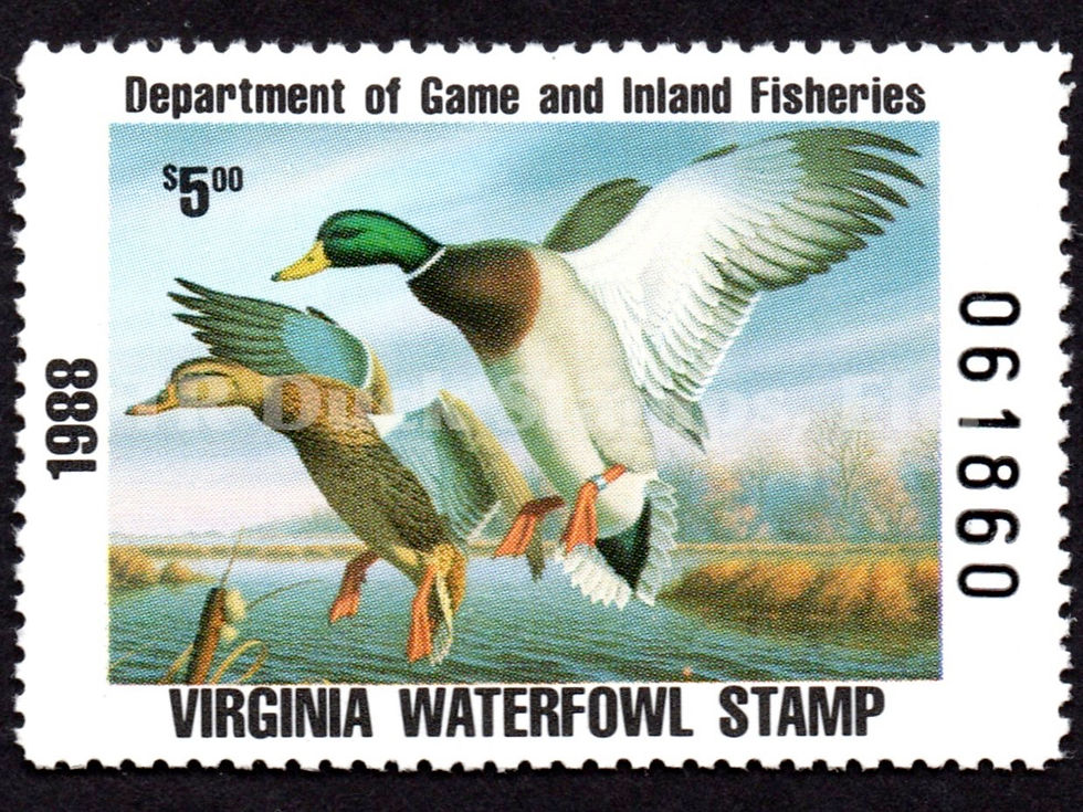 Virginia 1988 VA1 Mallards Duck Stamp, First of State