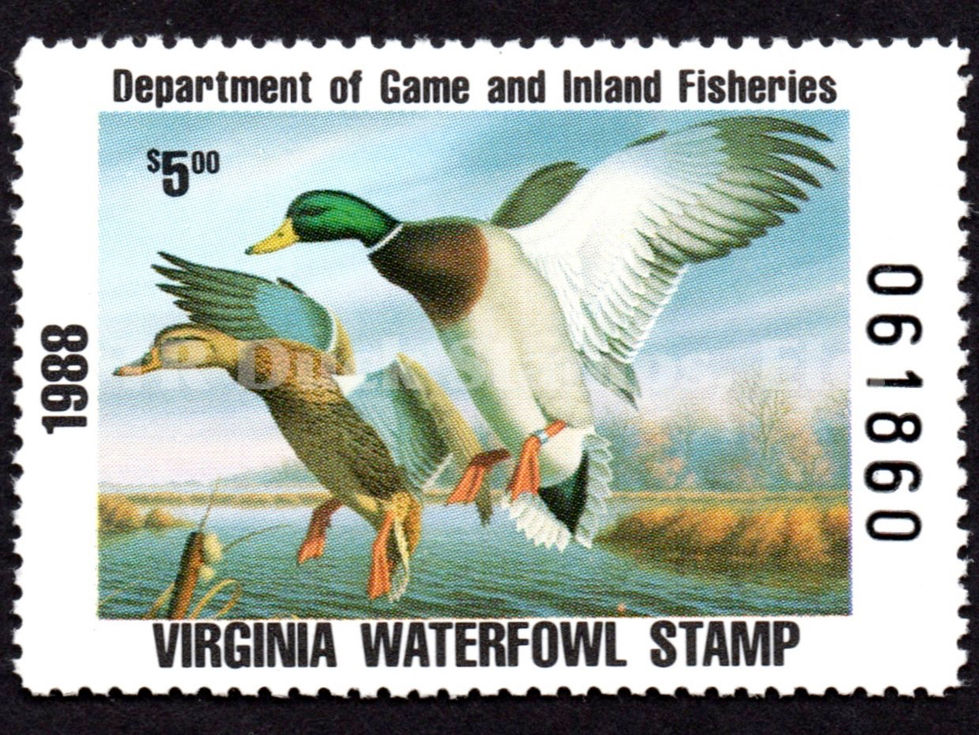 Virginia 1988 VA1 Mallards Duck Stamp, First of State