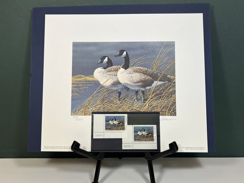 Nebraska 1991 Canada Geese by Neal Anderson 868/12000