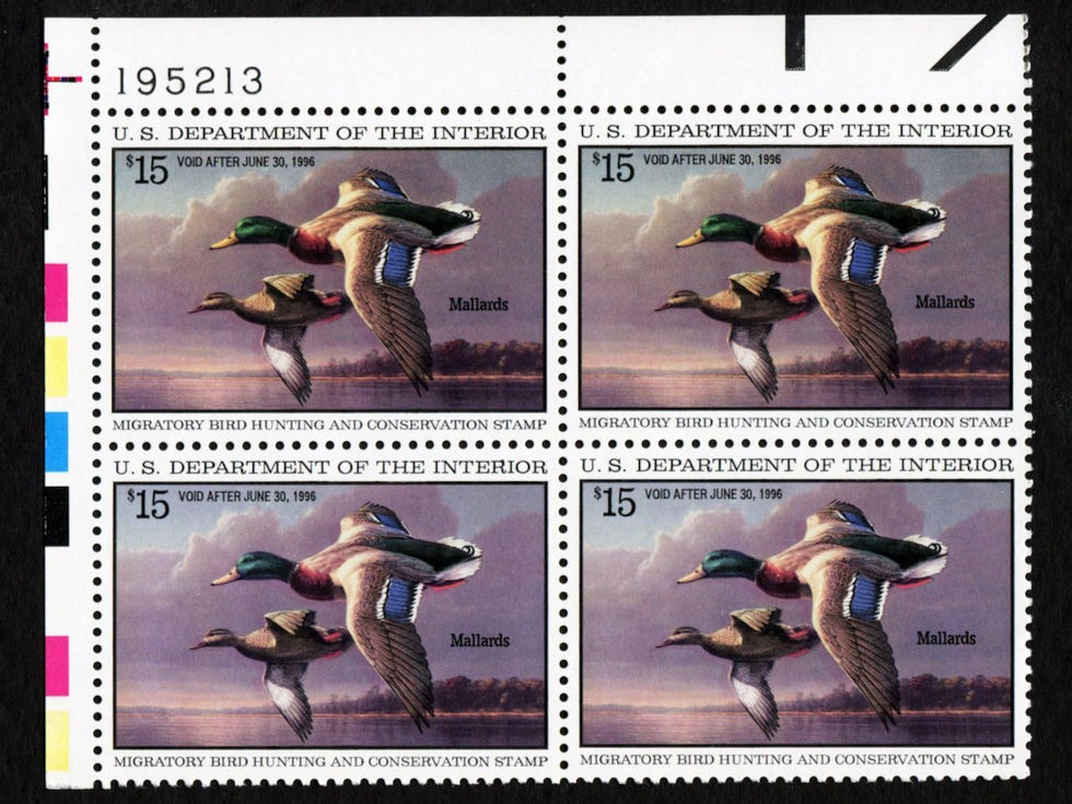 RW62 1995-96 Mallards, Mint XF Plate Block Duck Stamp