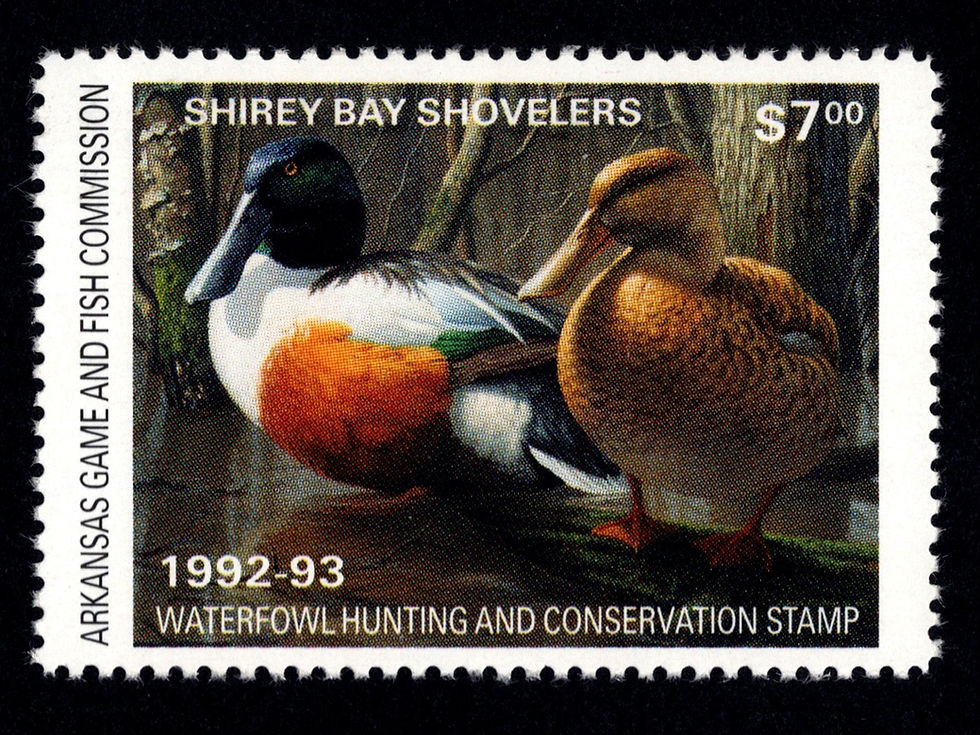 Arkansas 1992 AR12 Shirey Bay Shovelers Duck Stamp