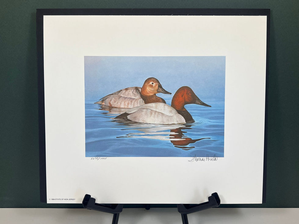 New Jersey 1984 Canvasbacks Print by Tom Hirata 5275-10011