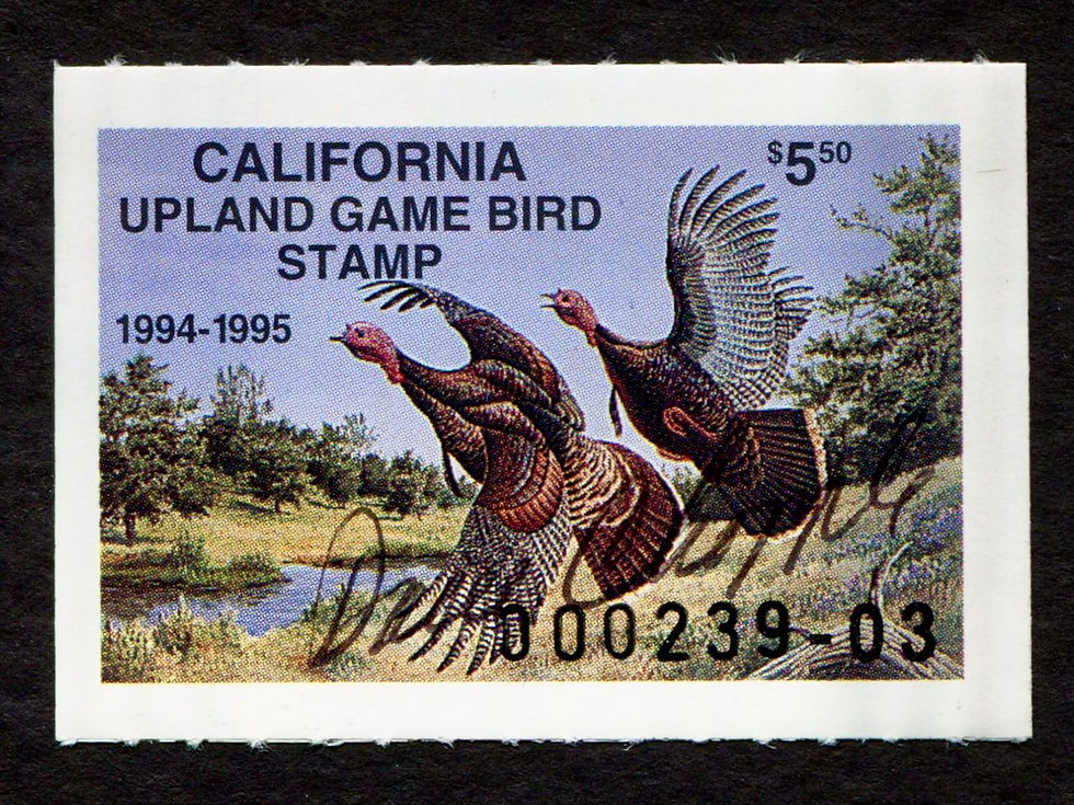 CAUG2 1994-95 California Upland Game Bird Stamp, Wild Turkeys, Artist-Signed