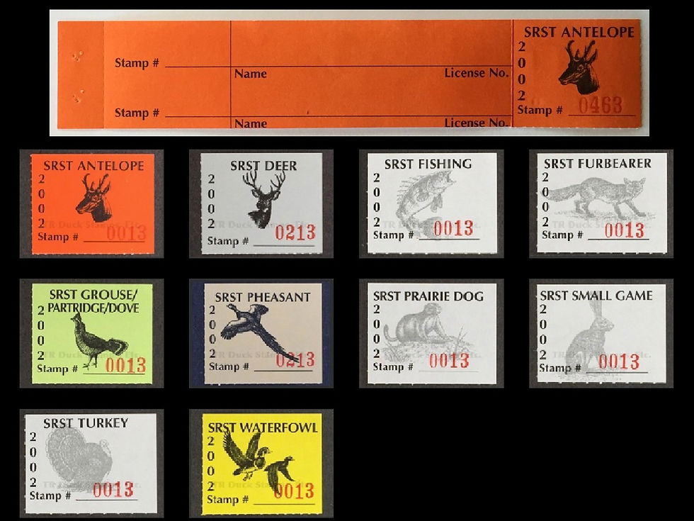 SR117-26T Standing Rock 2002 Set/10 W/Tabs Stamps