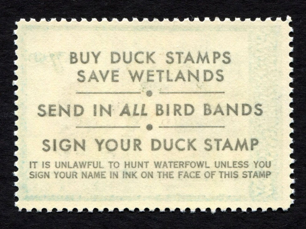 RW46 1979-80 Green-Winged Teal, Artist-Signed Ken Michaelson