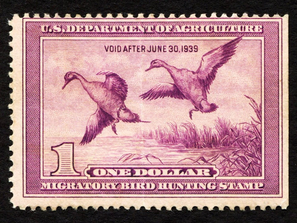 RW5 1938-39 Northern Pintails, Used Avg SE Unsigned Duck Stamp