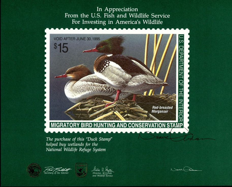 1994 RW61 #70 Artist-Signed Duck Stamp Souvenir Card Merganser