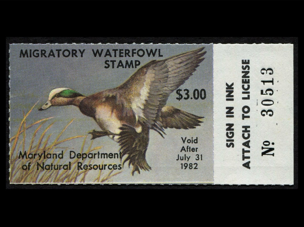 Maryland 1981 MD8 Wigeon Duck Stamp, MNH