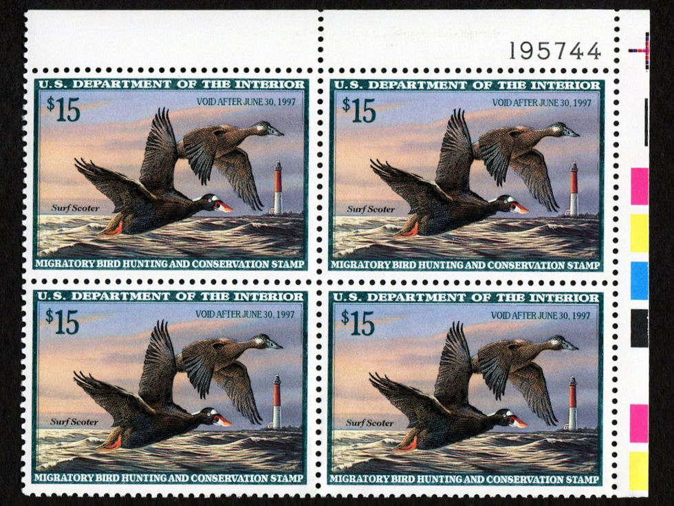 RW63 1996-97 Surf Scoter, Mint F-VF Plate Block Duck Stamp